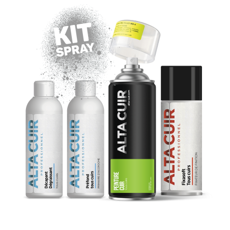 Kit coloration fauteuil cuir en bombe