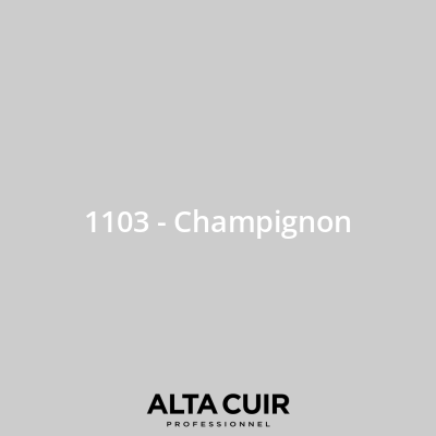 Couleur originale constructeur pour sièges et intérieur cuir 1103 - Champignon pour Couleurs cuir - Mercedes 