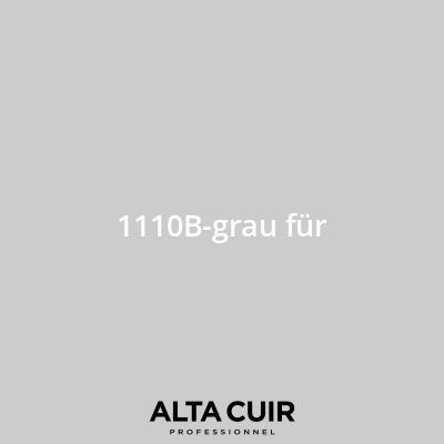 Couleur originale constructeur pour sièges et intérieur cuir 1110B-grau für pour Couleurs cuir - Mercedes 