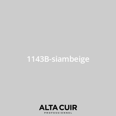 Couleur originale constructeur pour sièges et intérieur cuir 1143B-siambeige pour Couleurs cuir - Mercedes 