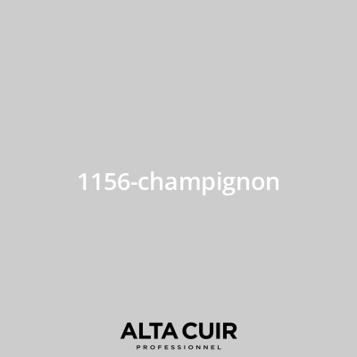 Couleur originale constructeur pour sièges et intérieur cuir 1156-champignon pour Couleurs cuir - Mercedes 