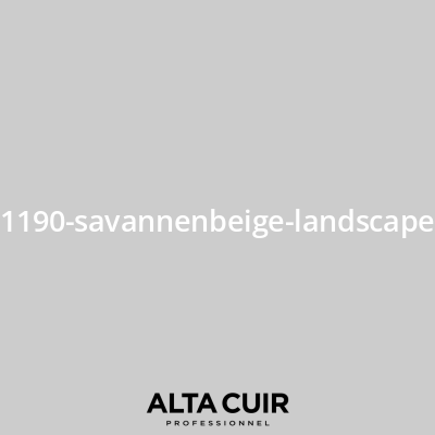 Couleur originale constructeur pour sièges et intérieur cuir 1190-savannenbeige-landscape pour Couleurs cuir - Mercedes 