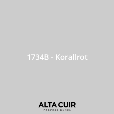 Couleur originale constructeur pour sièges et intérieur cuir 1734B - Korallrot pour Couleurs cuir  - BMW 