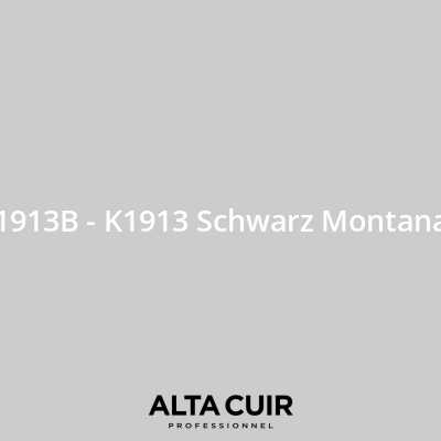 Couleur originale constructeur pour sièges et intérieur cuir 1913B - K1913 Schwarz Montana pour Couleurs cuir  - BMW 